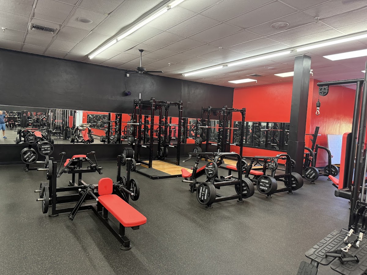 Smash Fitness