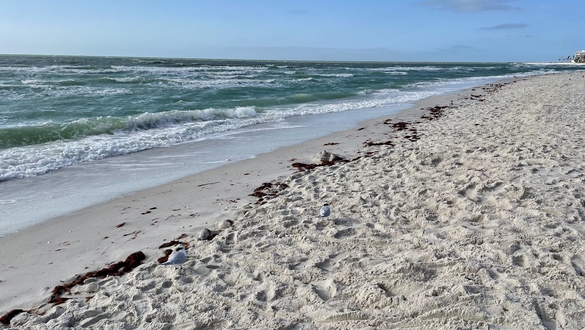 Lowdermilk Beach