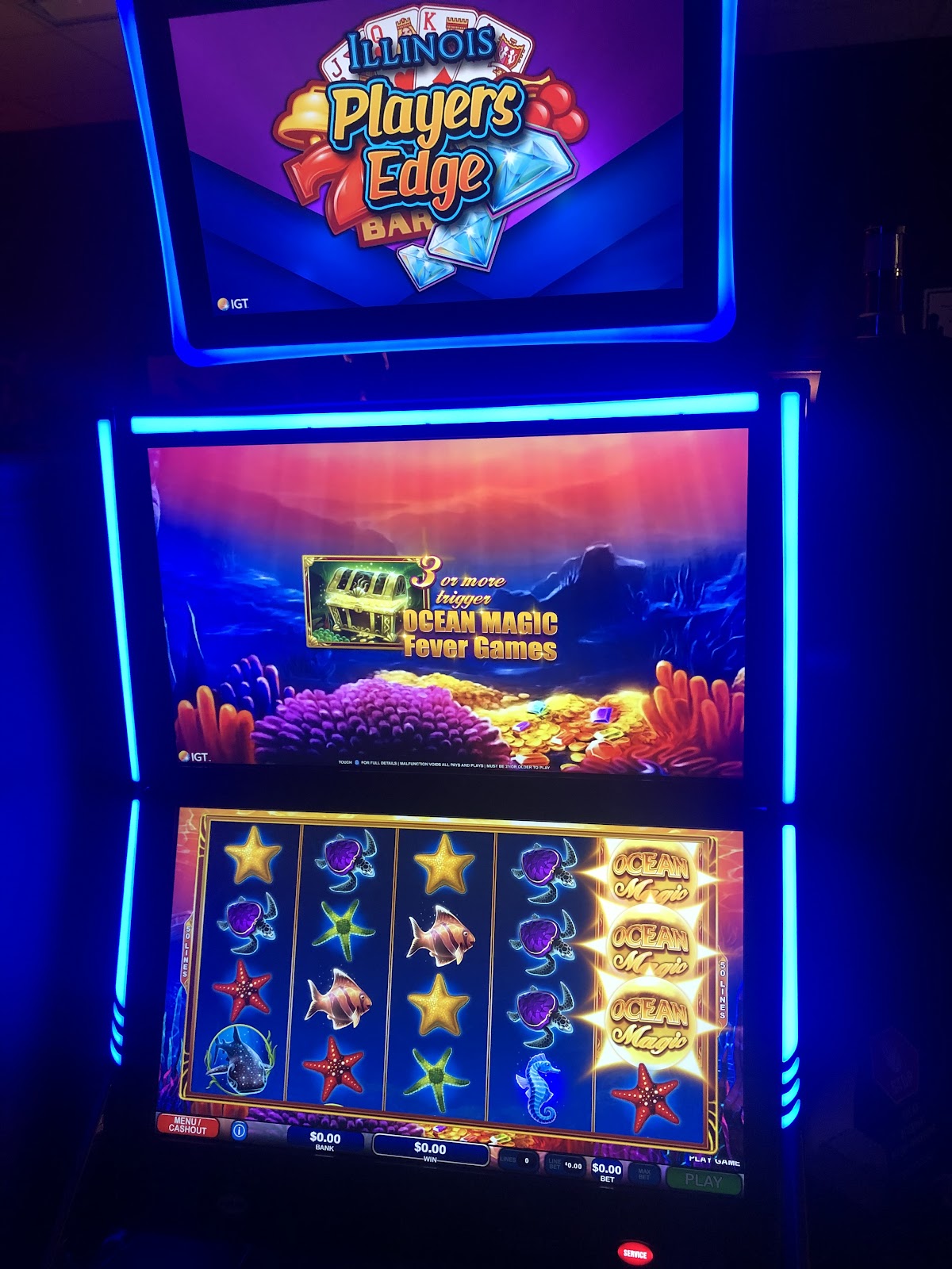 Wynnies Vape and Slots