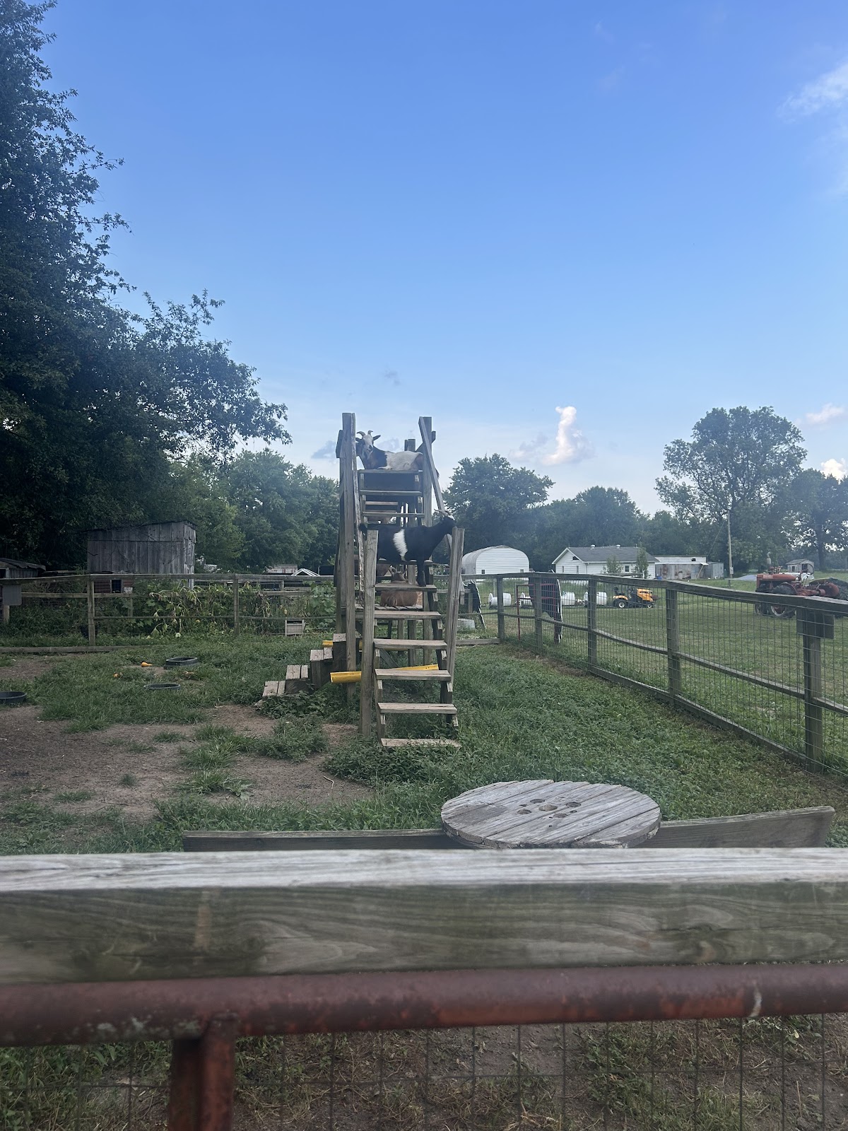 Boonies Farm photo 4