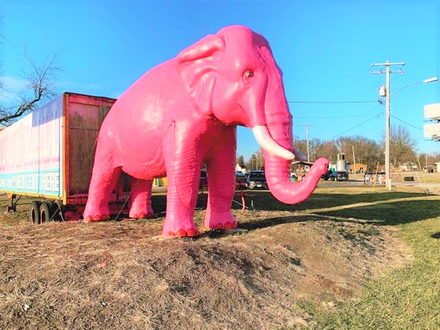 Pink Elephant Antique Mall