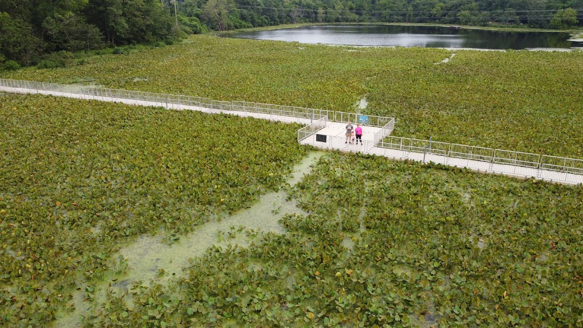Arlington Wetlands photo 4