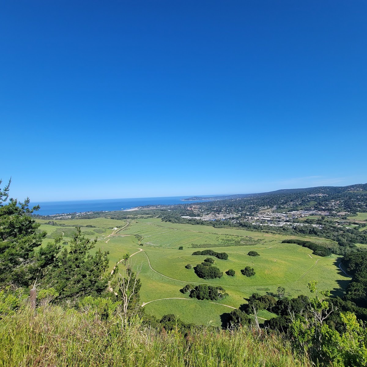 Palo Corona Regional Park
