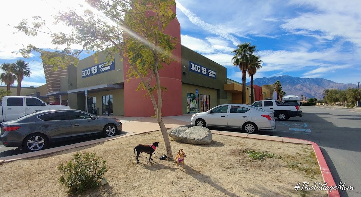 Big 5 Sporting Goods