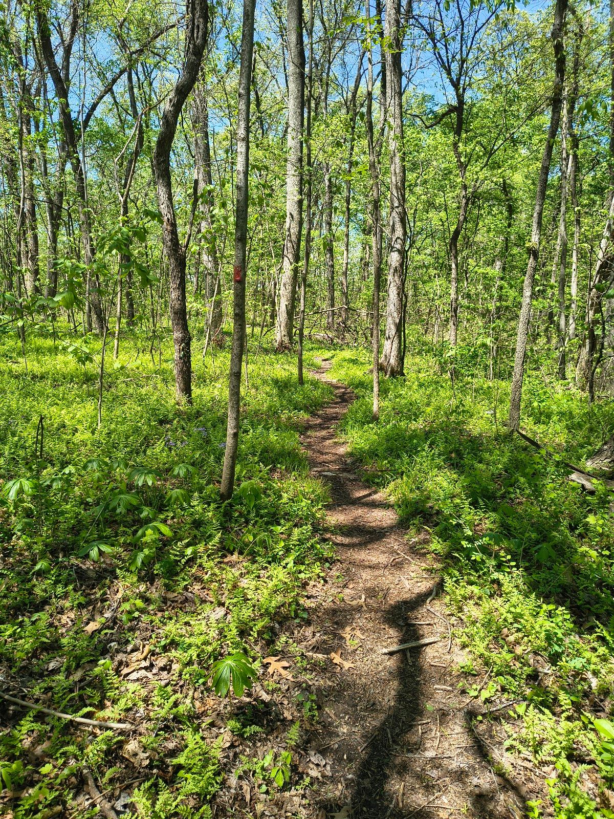Schulze Nature Preserve