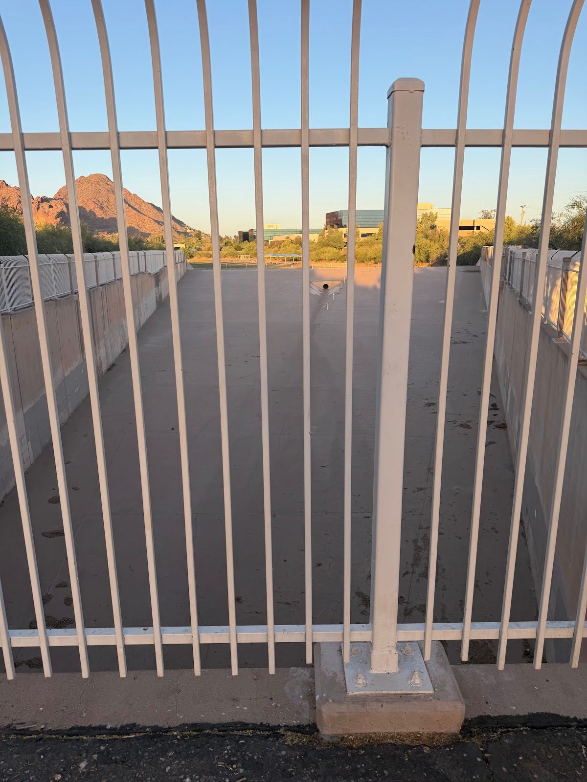 Phoenix Bats Tourist Attraction