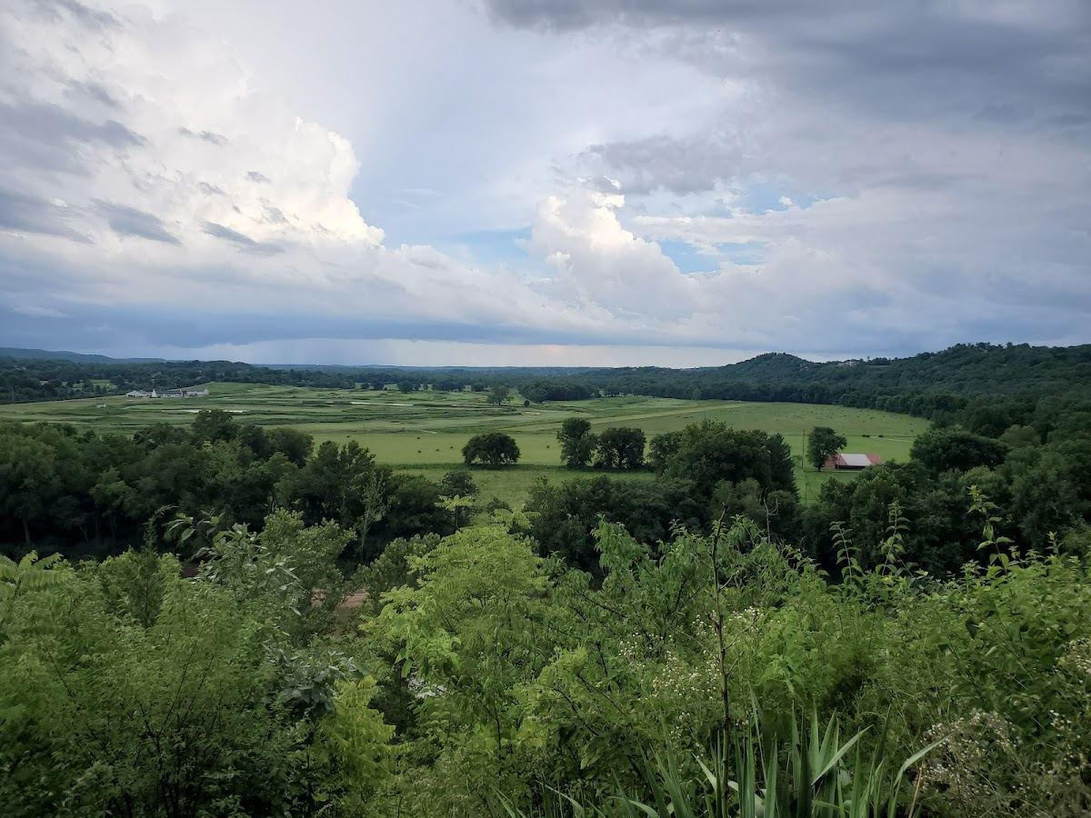 Bluffview Trail