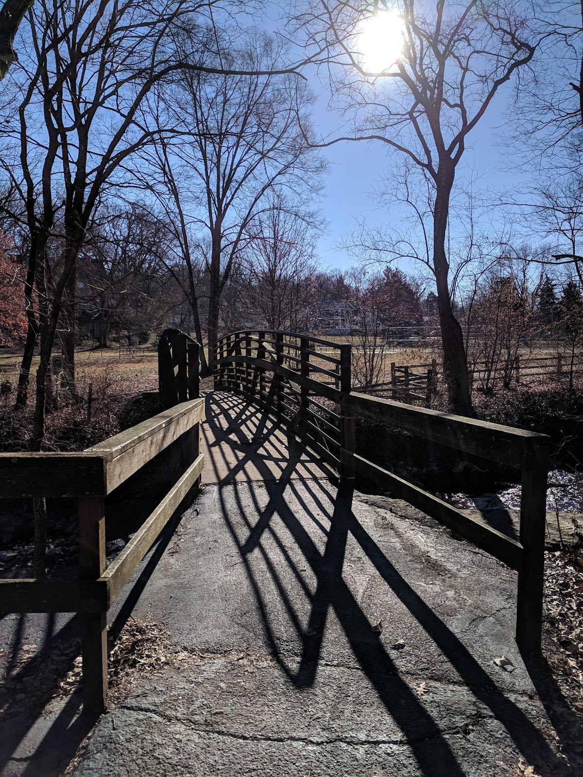 Larson Park