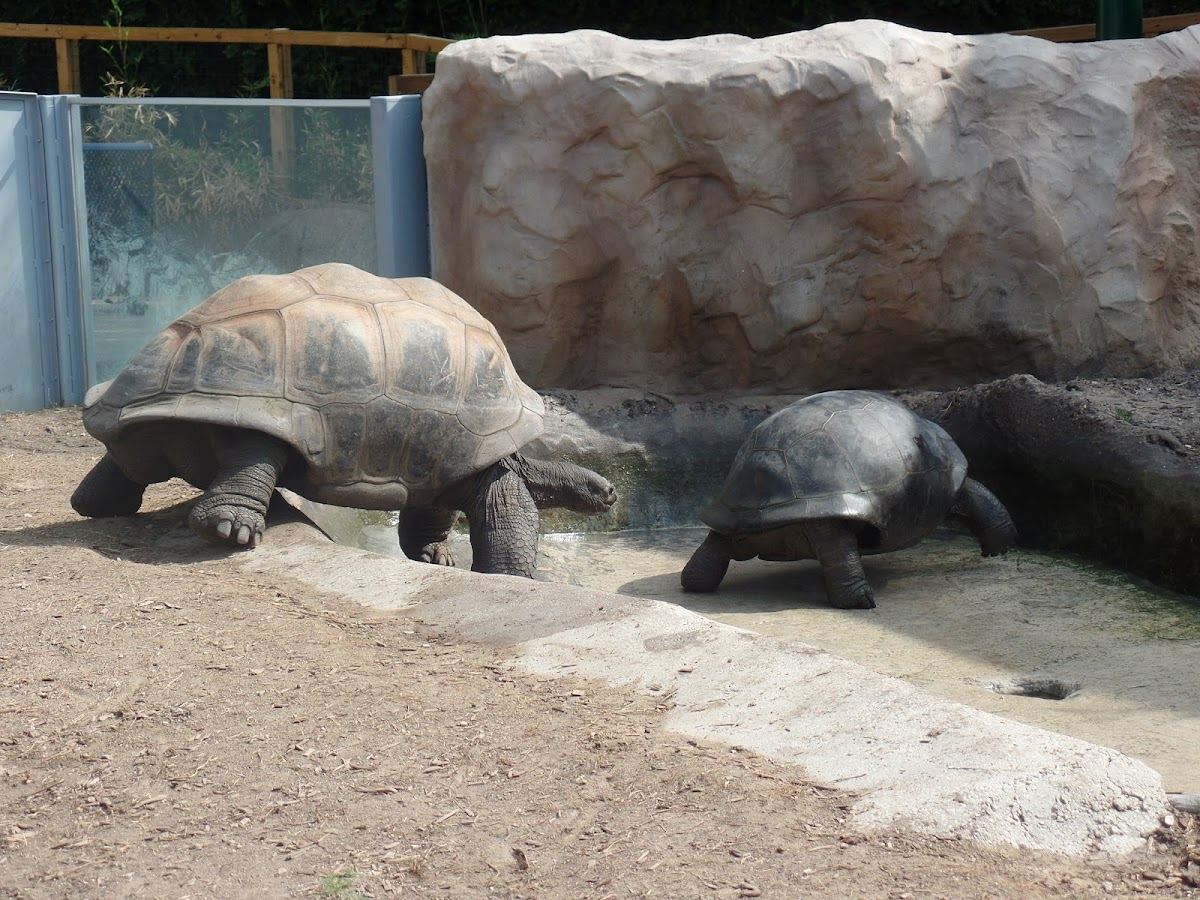 San Antonio Zoo