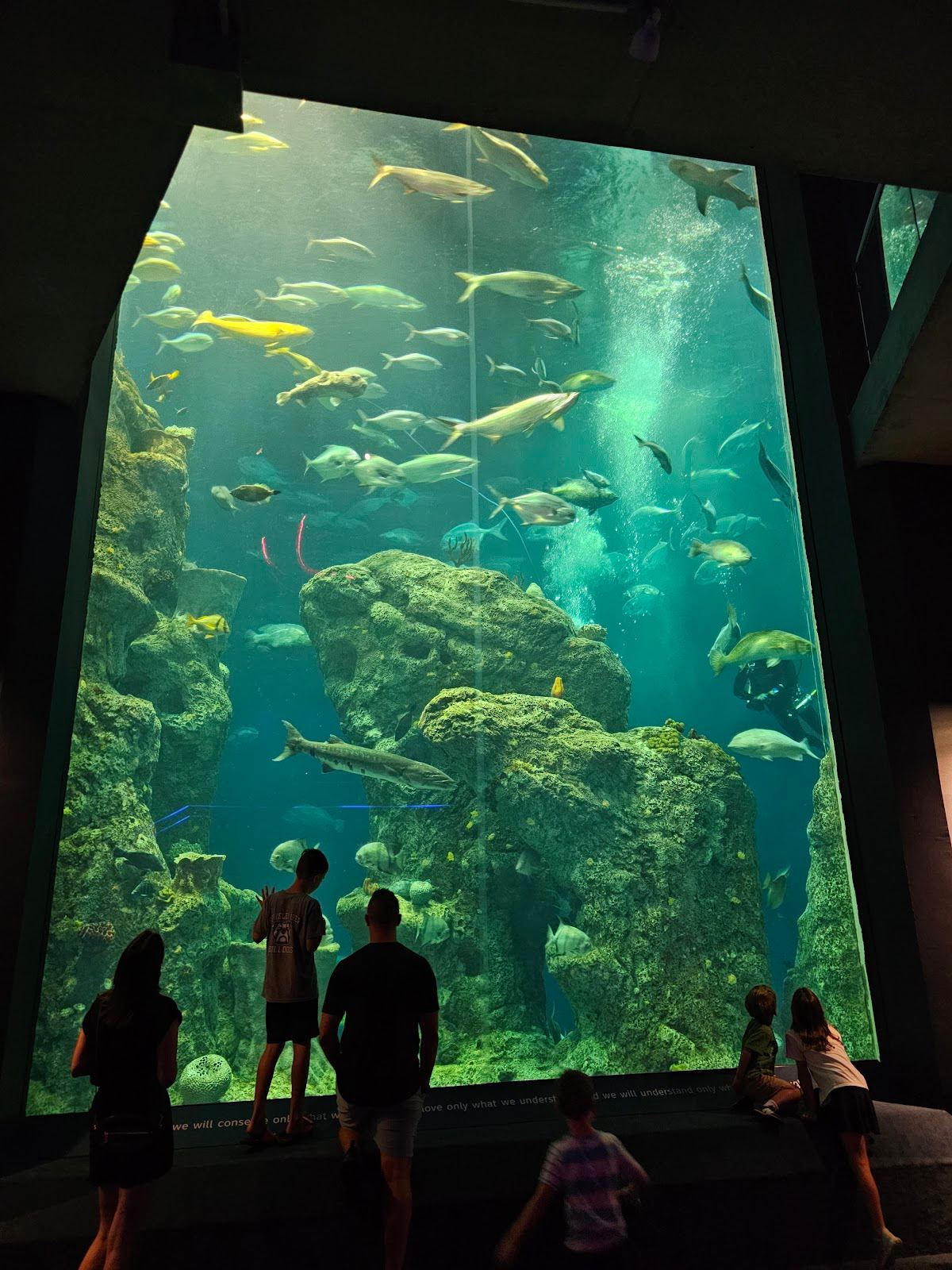 South Carolina Aquarium