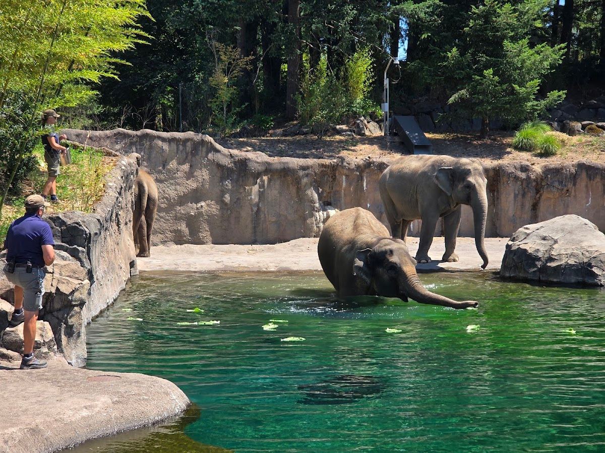 Oregon Zoo