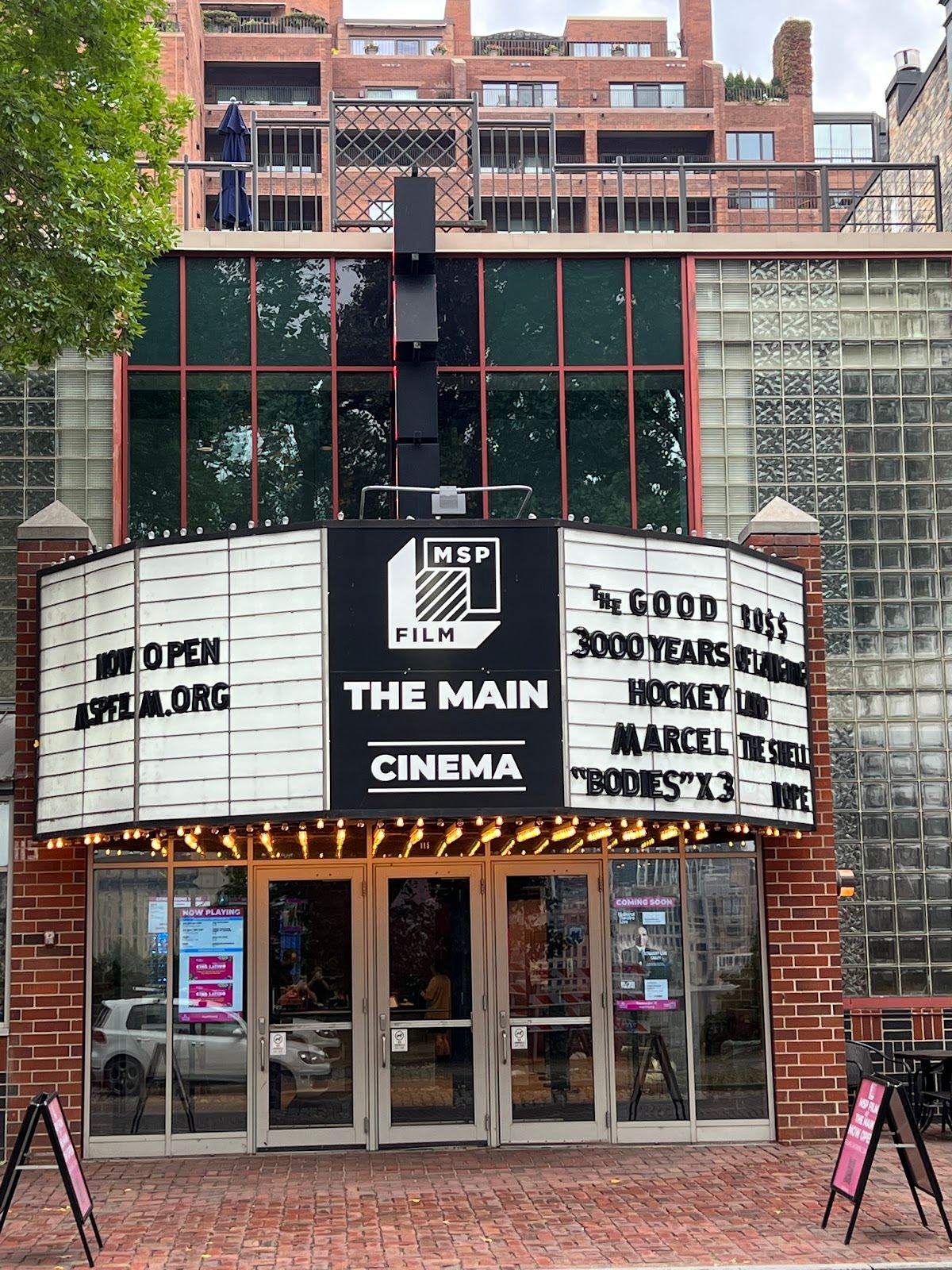 The Main Cinema
