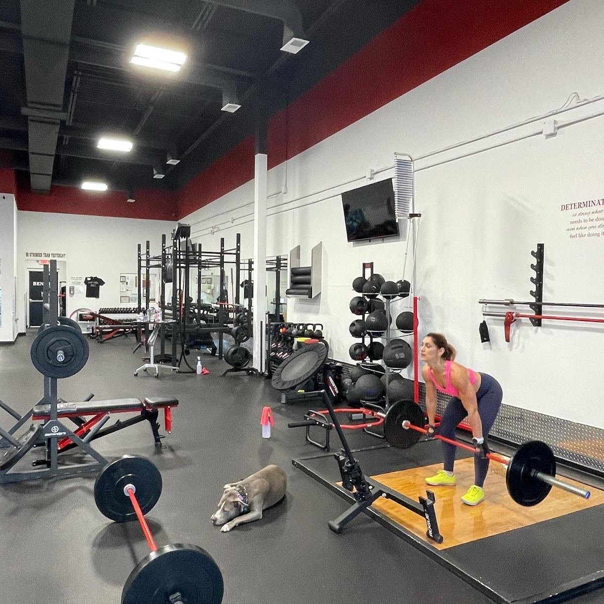Benifit Fitness