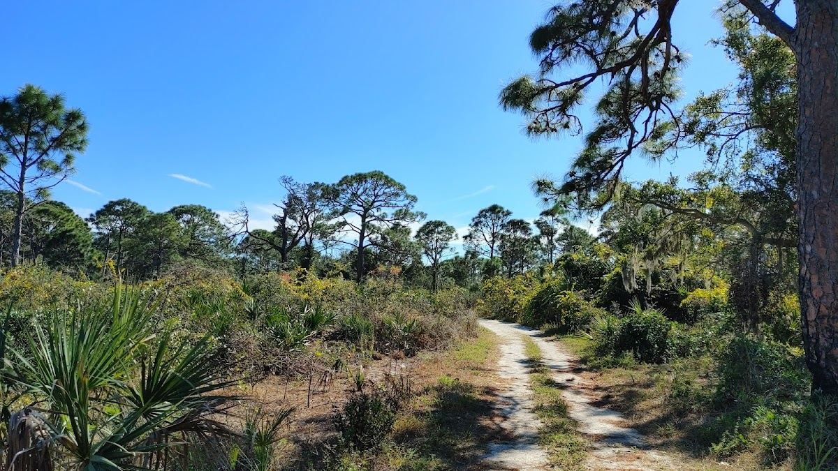 Boyd Hill Nature Preserve