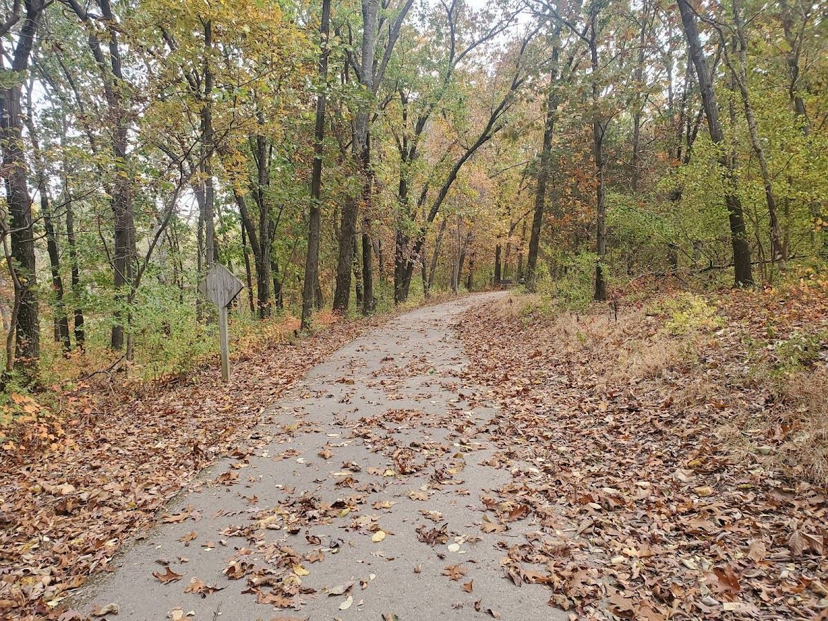 Klamberg Woods Conservation Area