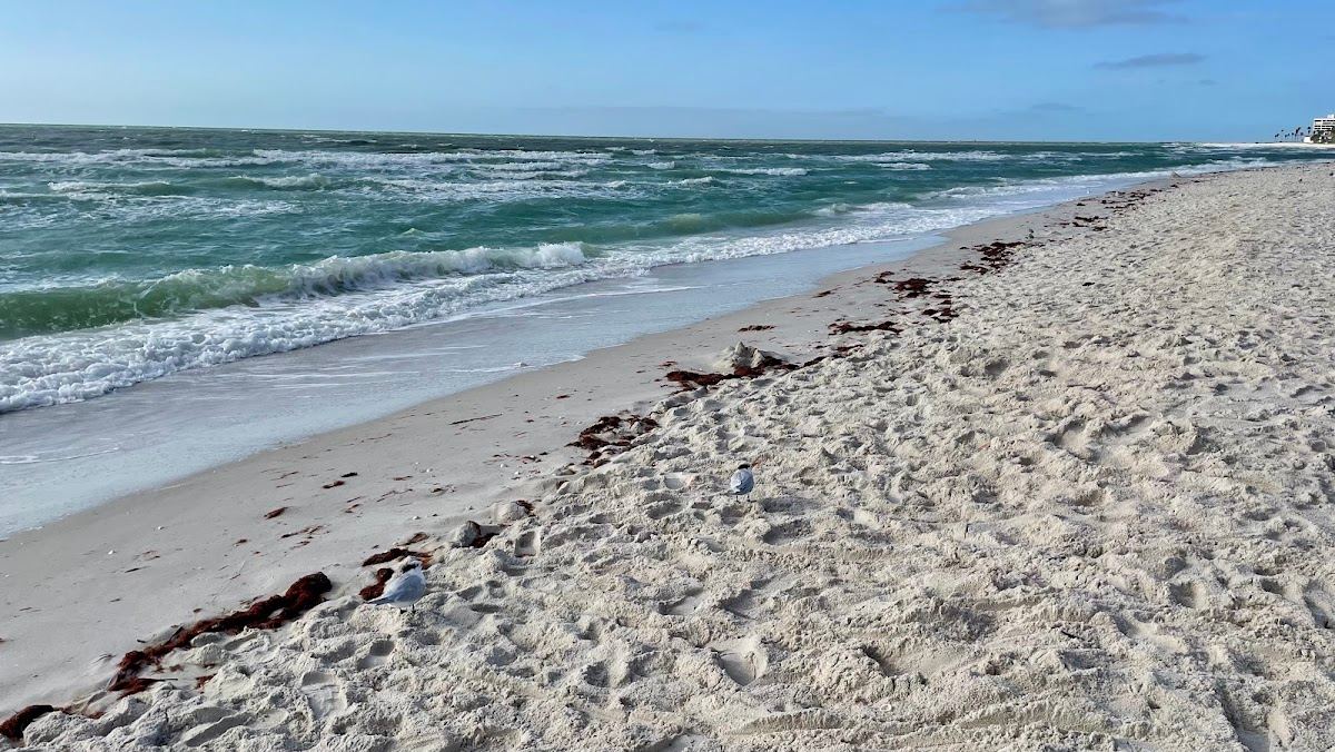 Lowdermilk Beach