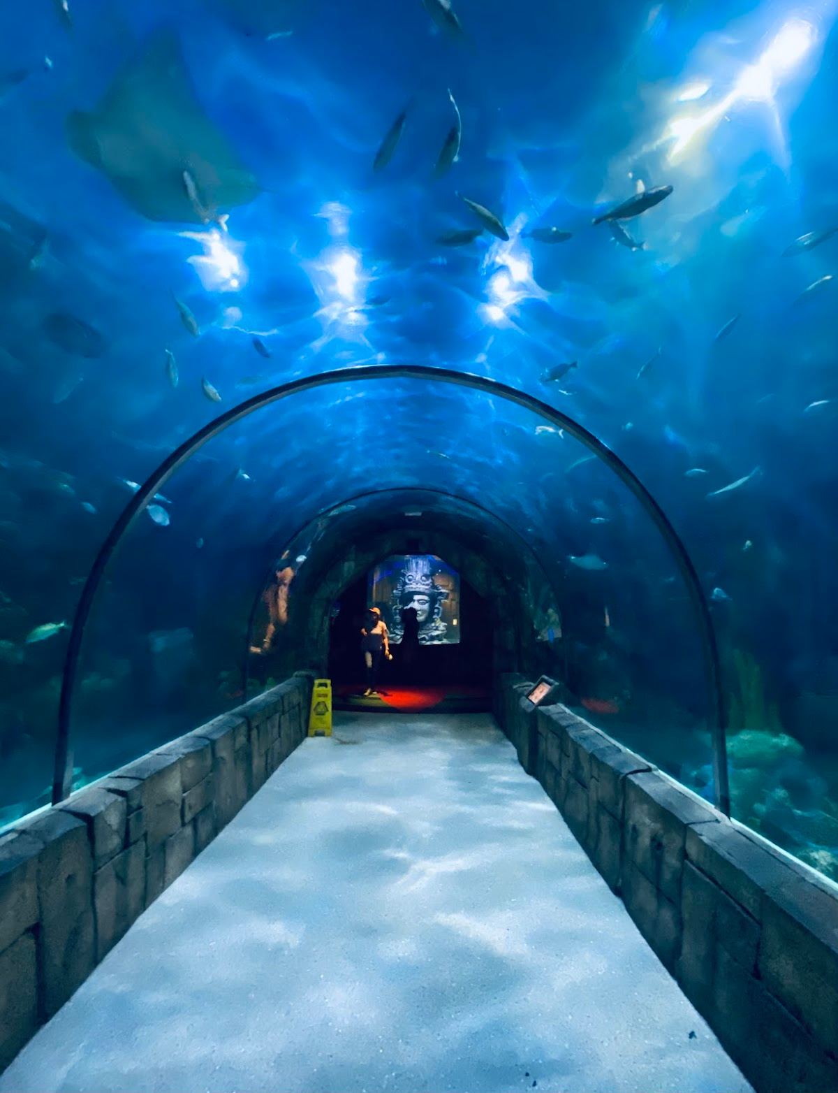 Audubon Aquarium