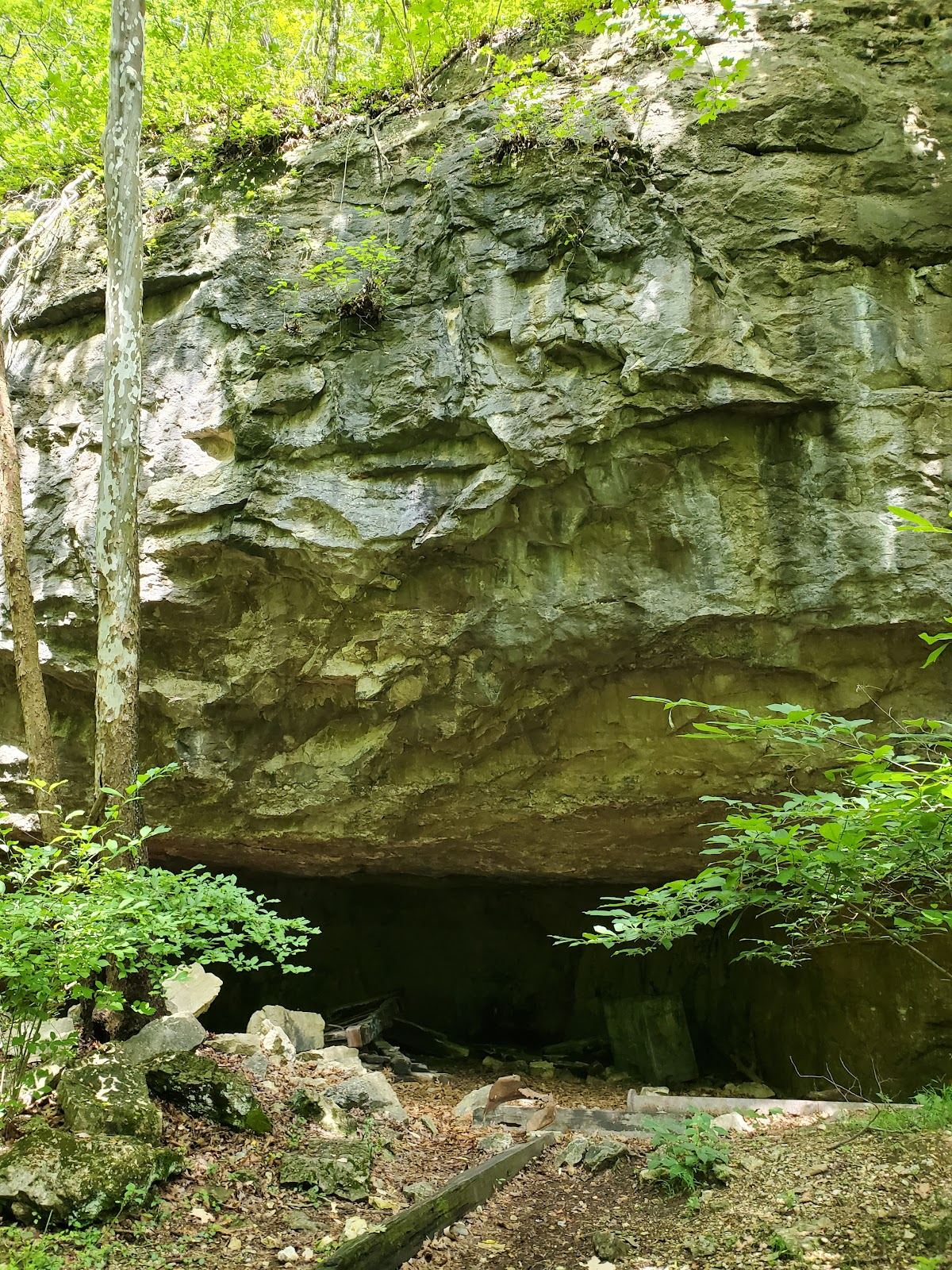 Rockwoods Reservation
