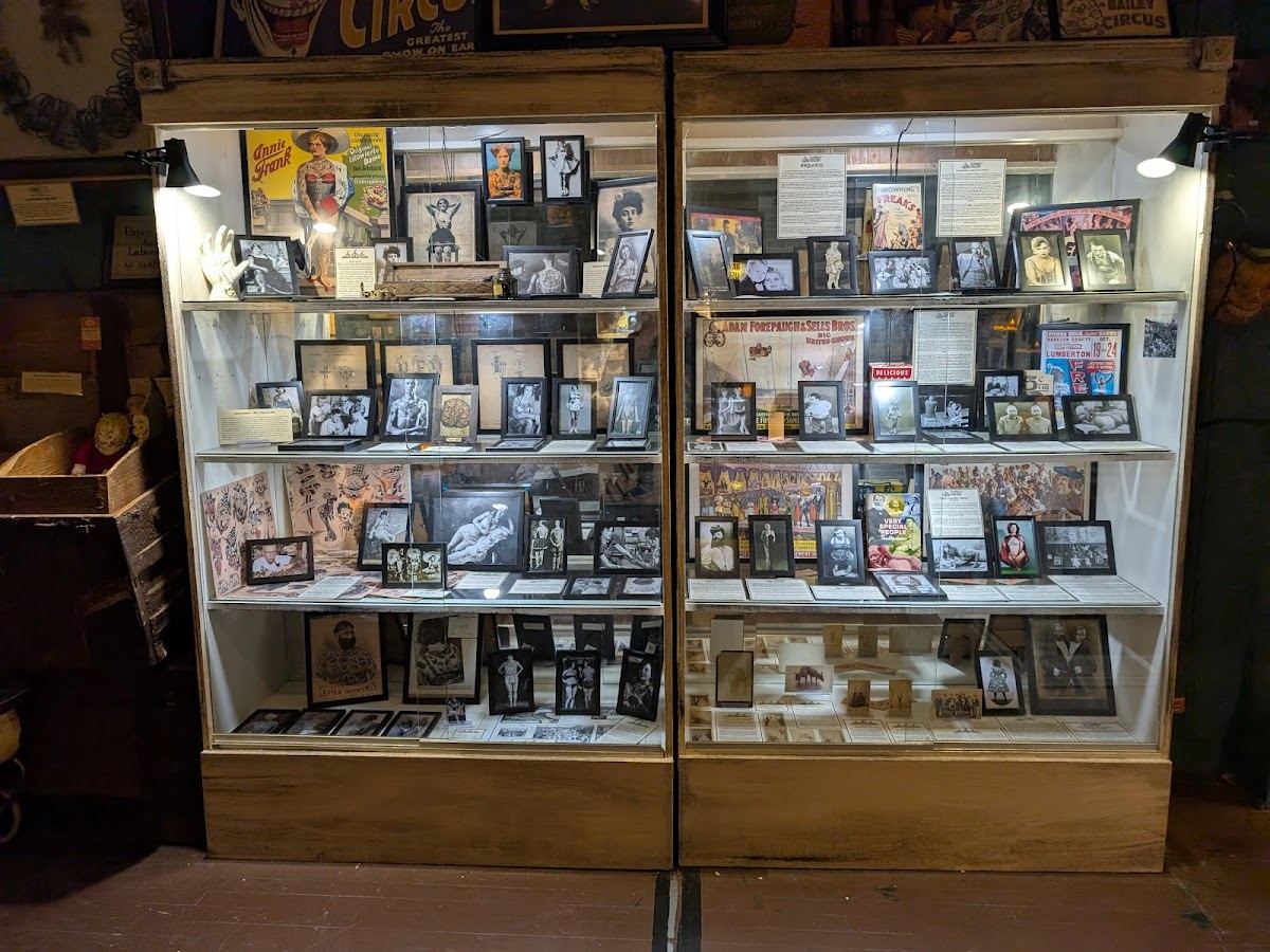 American Oddities Museum
