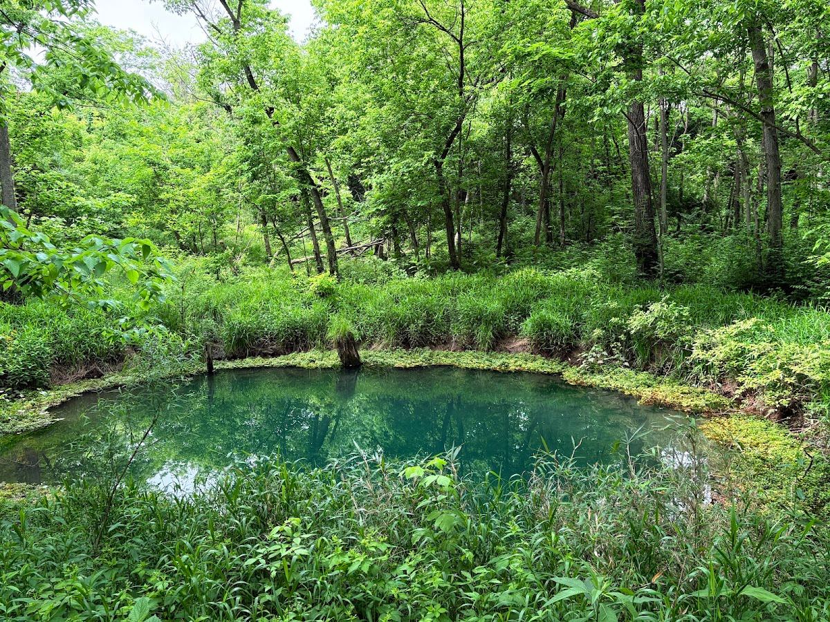 McConnell Springs Park