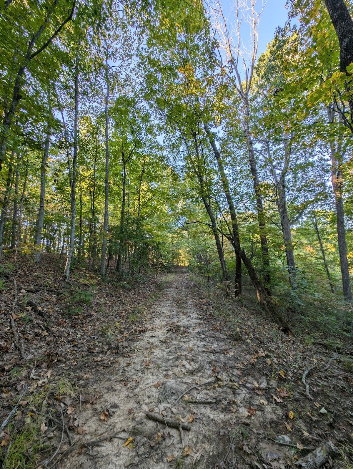 Engelmann Woods Natural Area