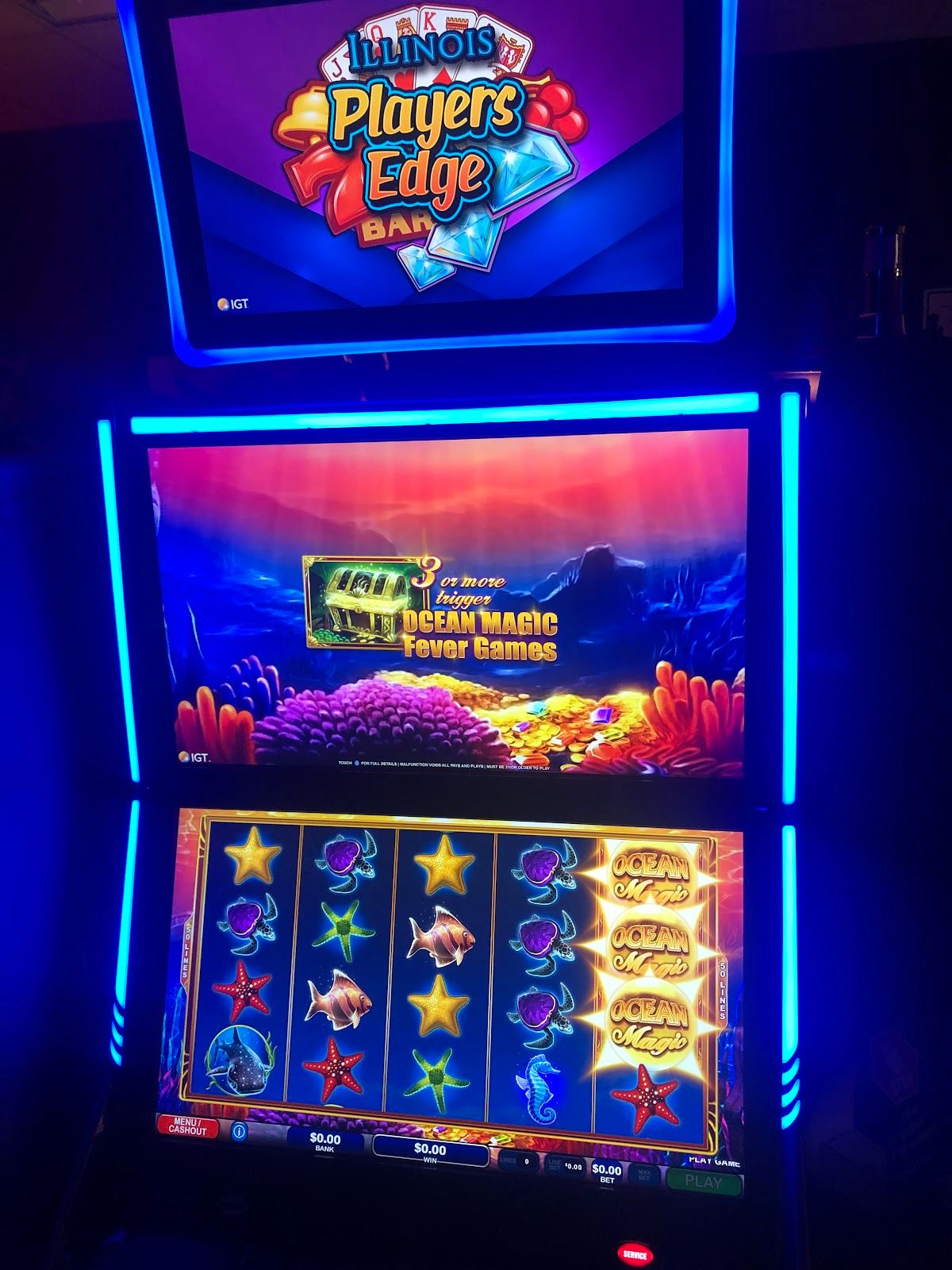 Wynnies Vape and Slots