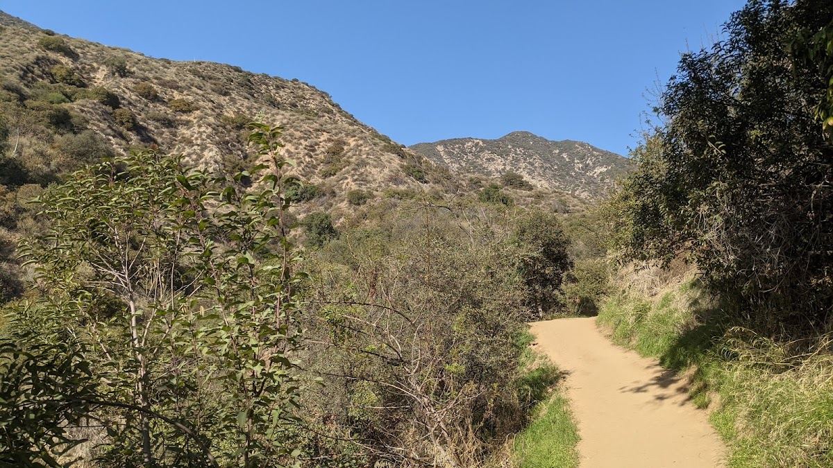 Mount Wilson Trail Park