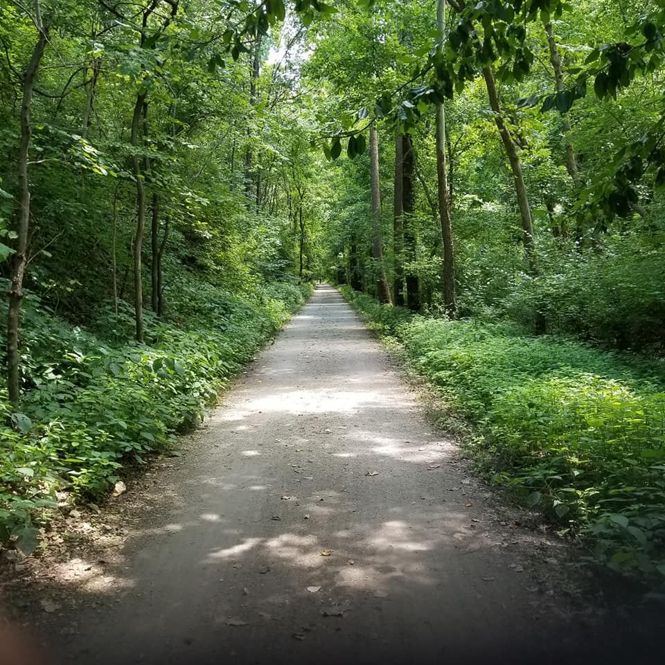 Al Foster Trail