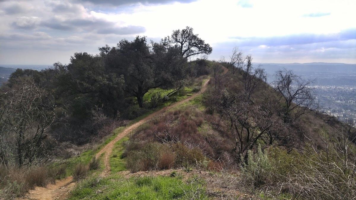 Colby Trail