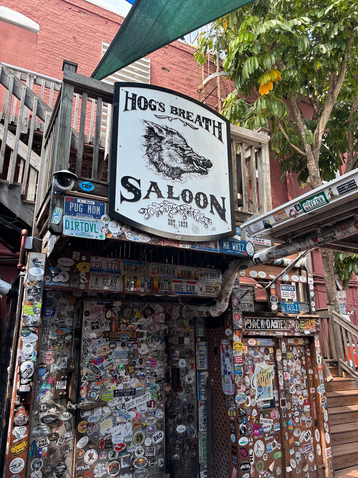 Hog's Breath Saloon