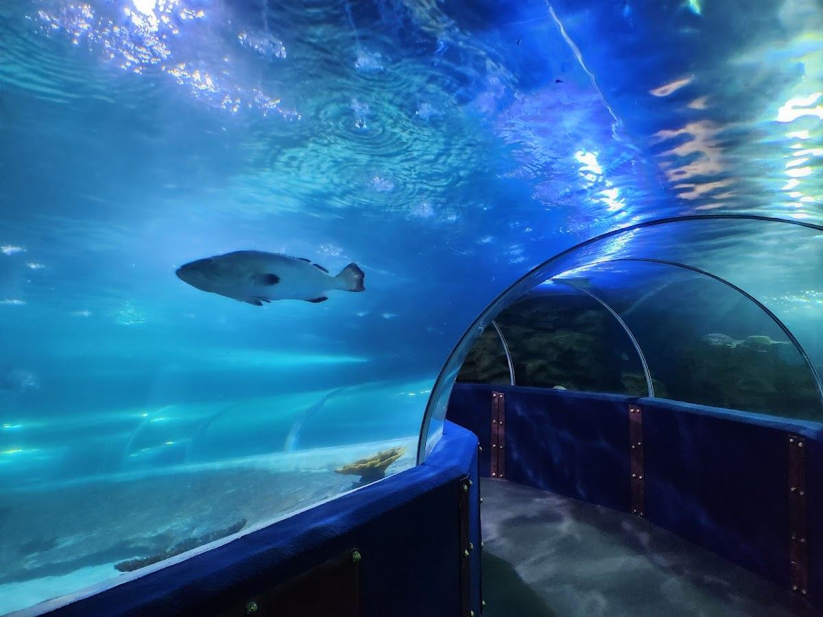 Greater Cleveland Aquarium