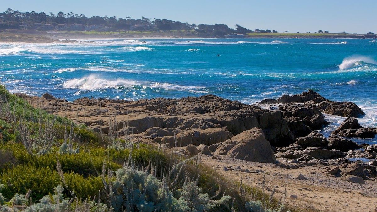Asilomar State Beach