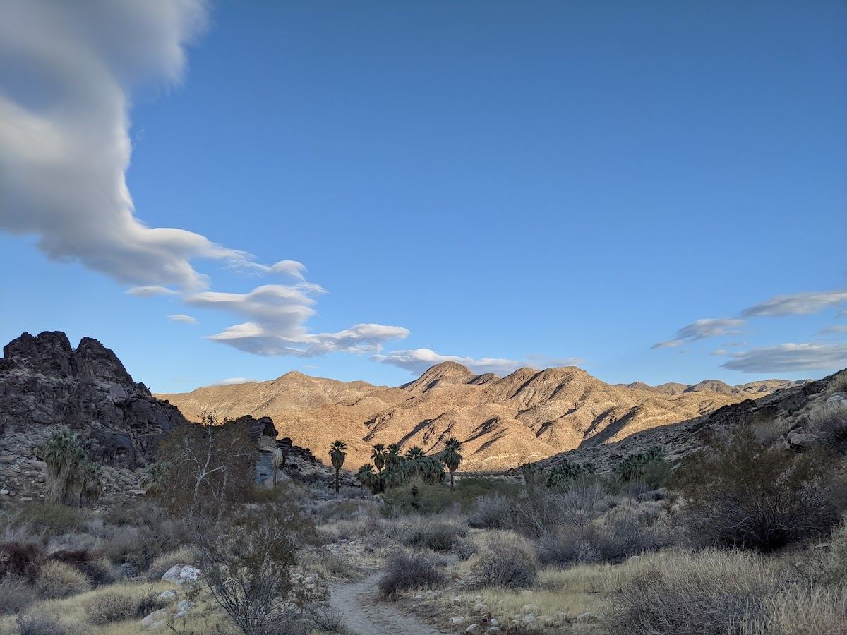 Andreas Canyon Trailhead