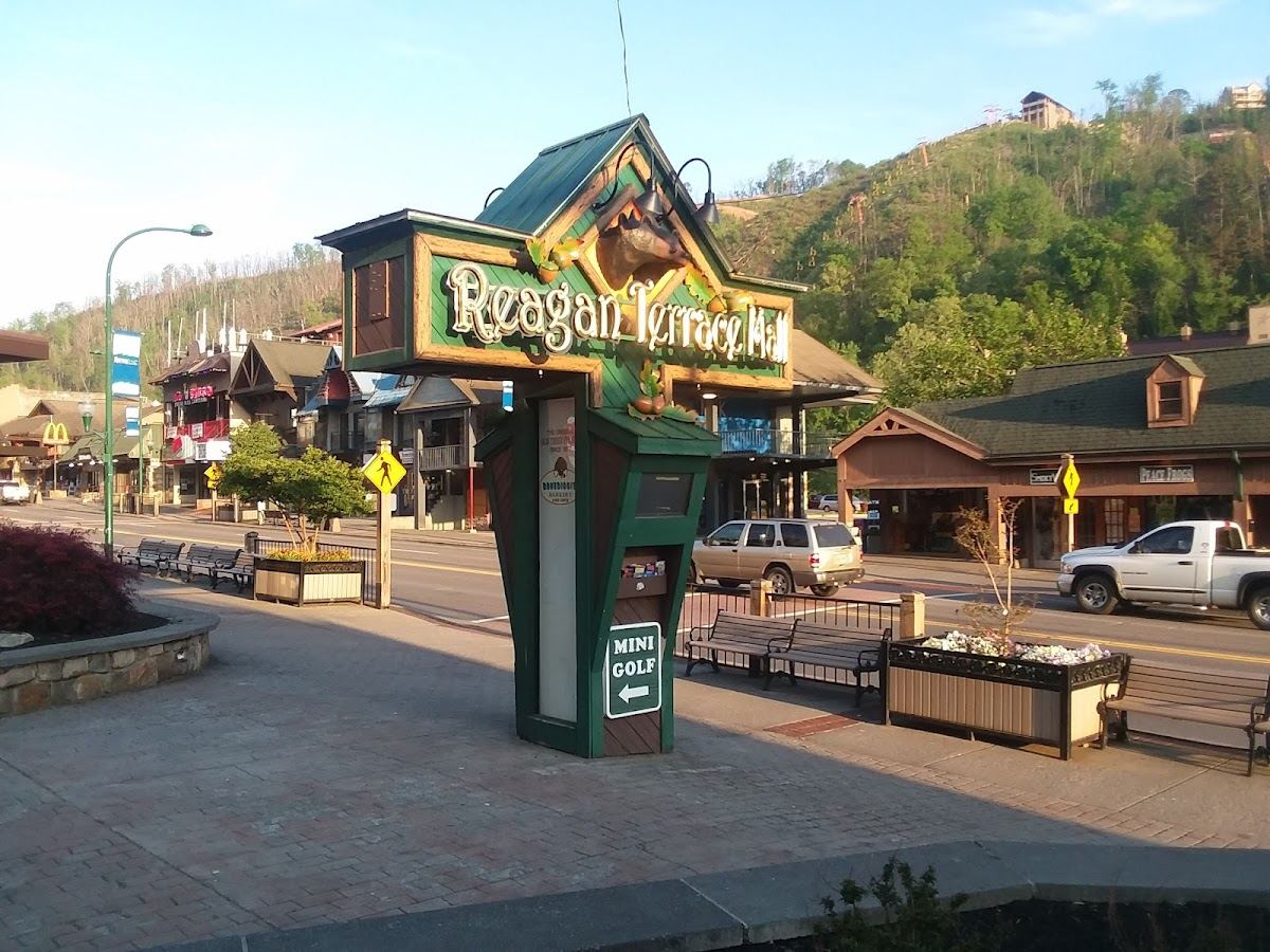 Reagan Terrace Mall