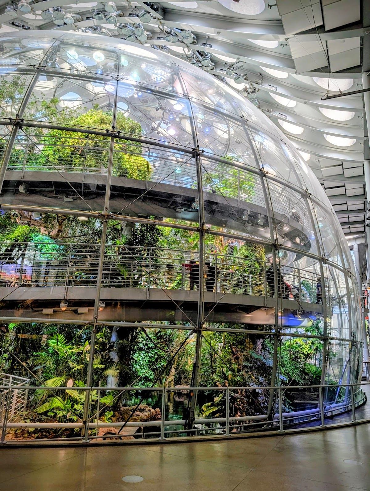 California Academy of Sciences