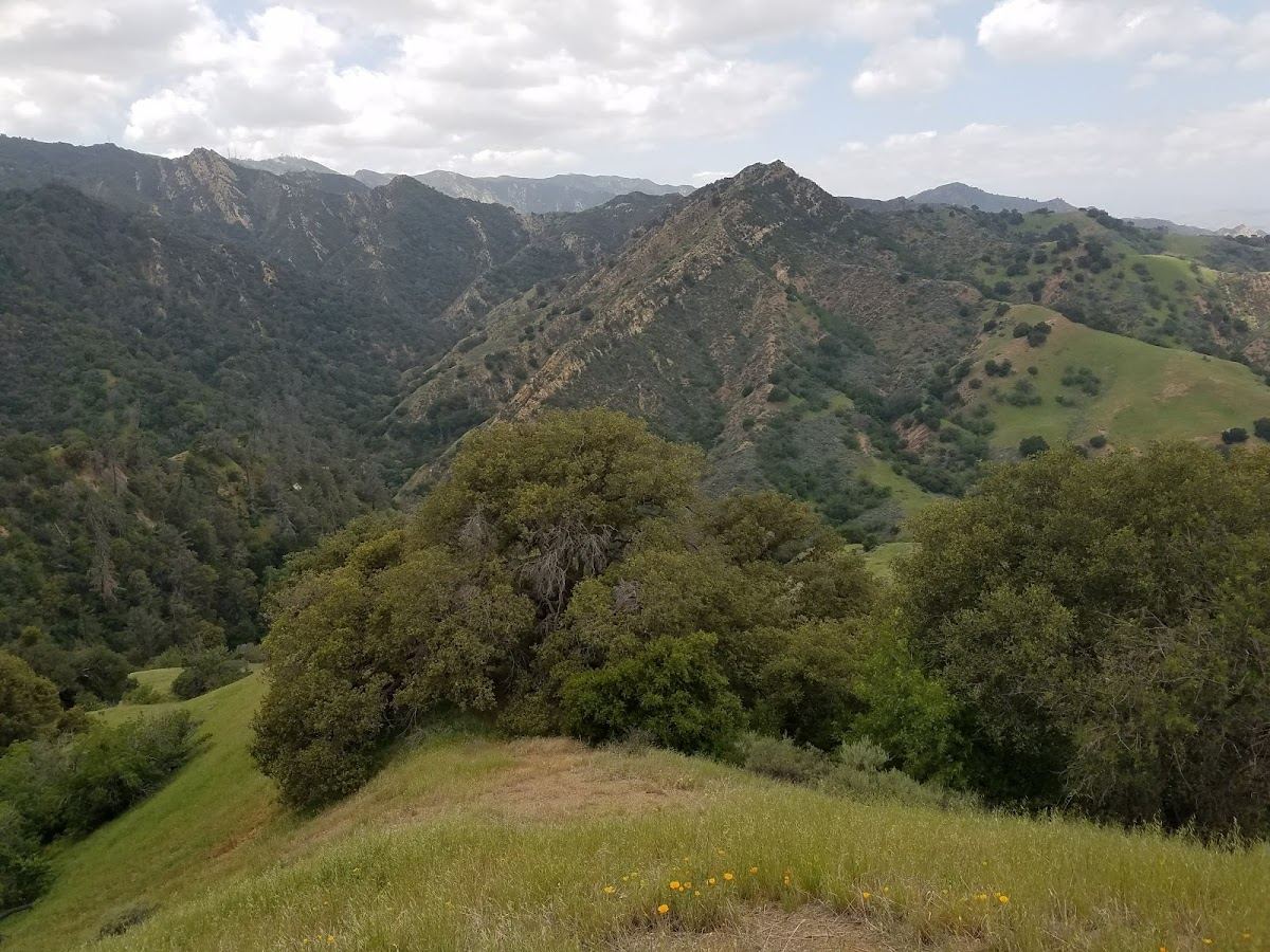 Michael D. Antonovich Open Space