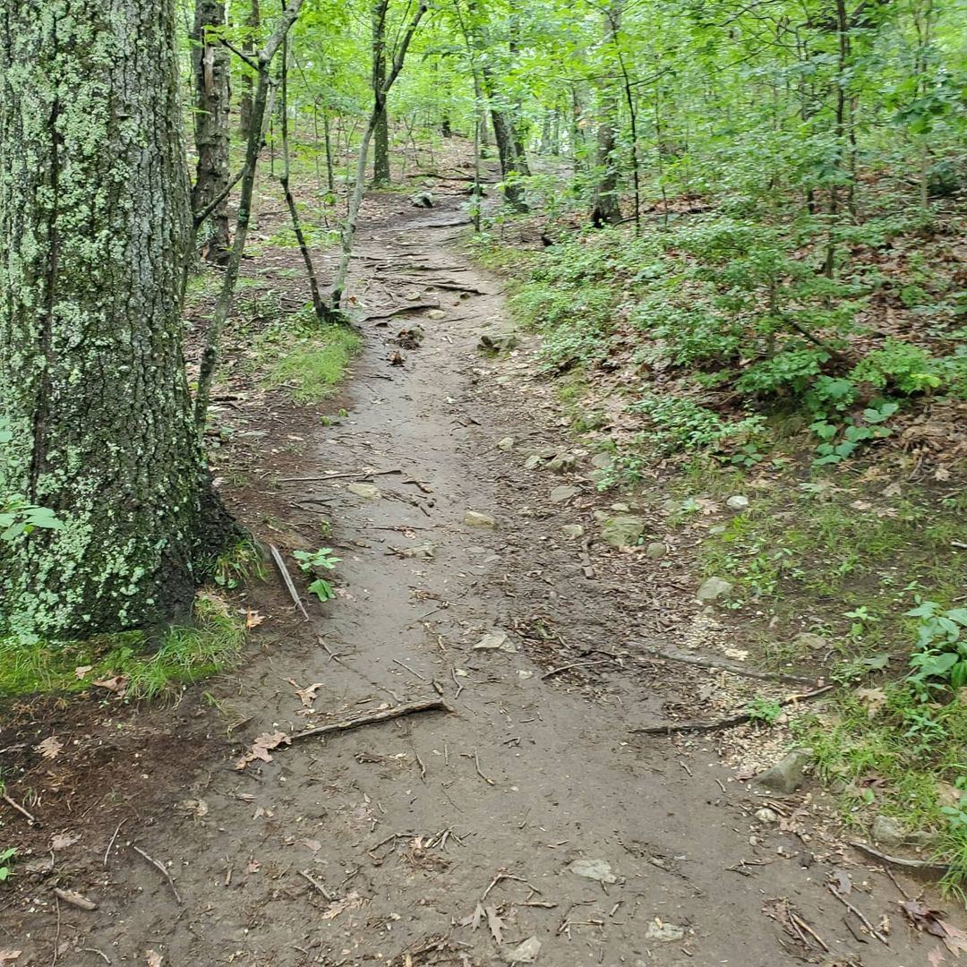 Whipple Hill