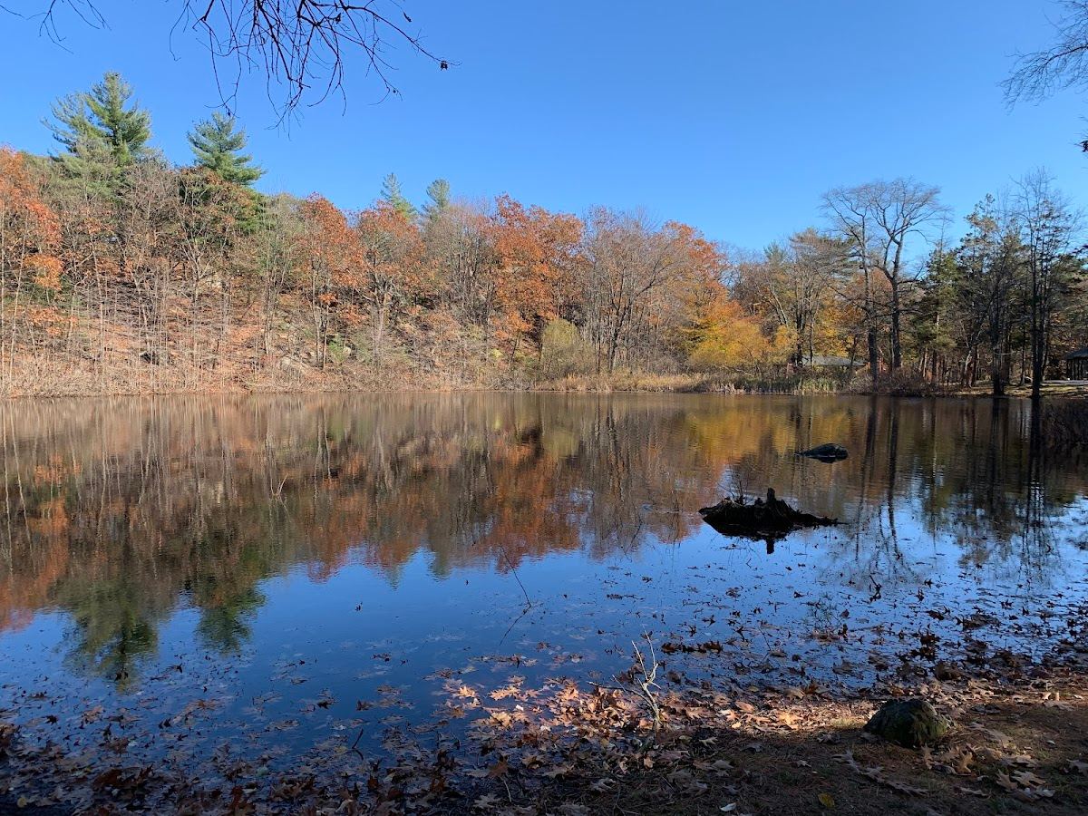 Pine Banks Park