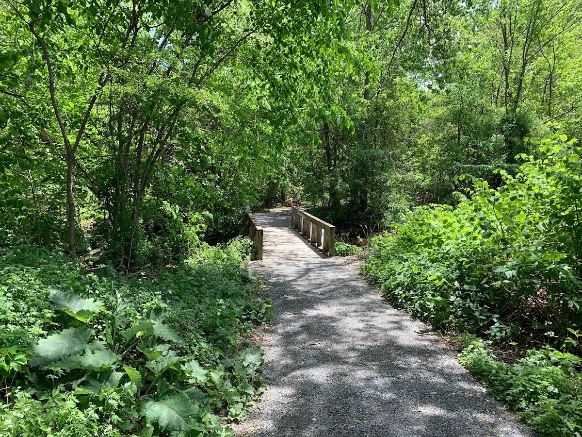 Cold Spring Park
