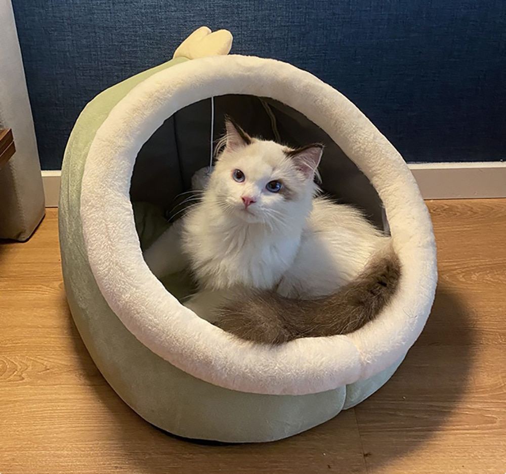 Barkermeow