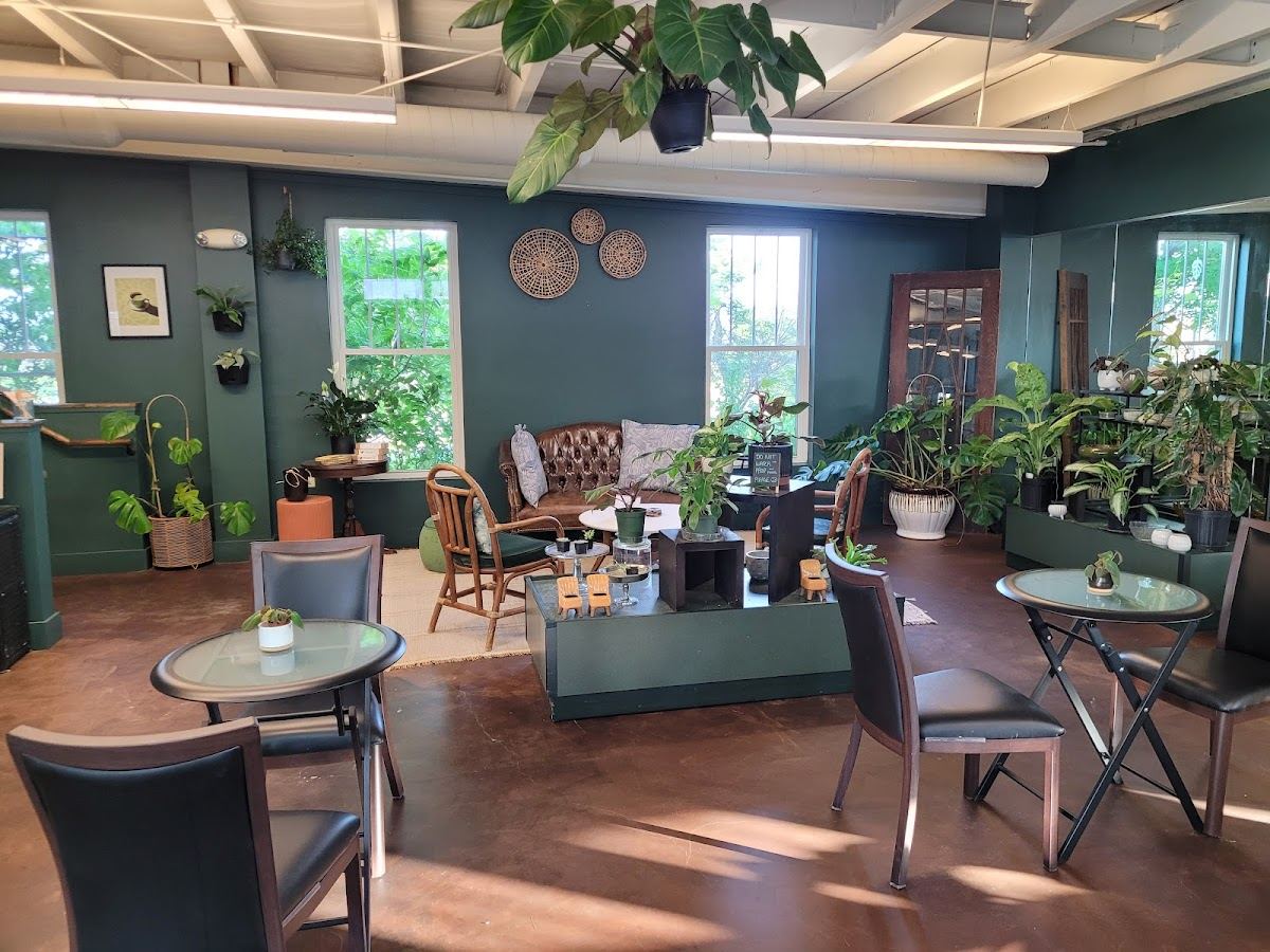 The Ground Coffeehouse and Plant Shop