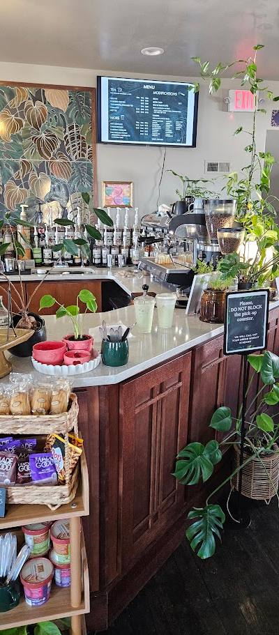 The Ground Coffeehouse and Plant Shop photo 4