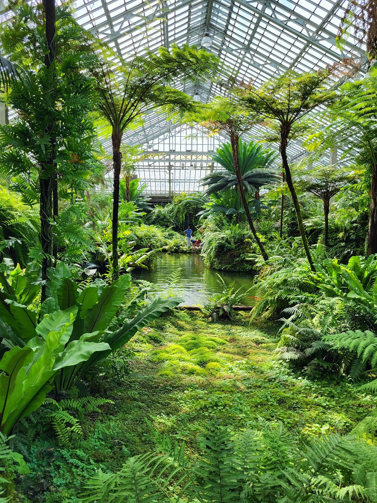 Garfield Park Conservatory