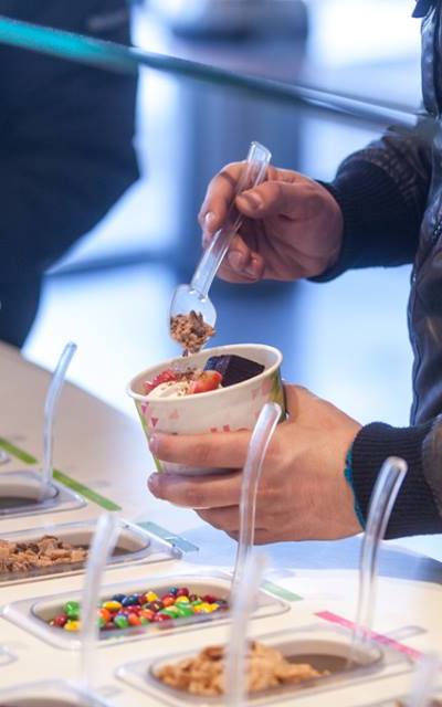 FroYo Frozen Yogurt- Olive photo 3