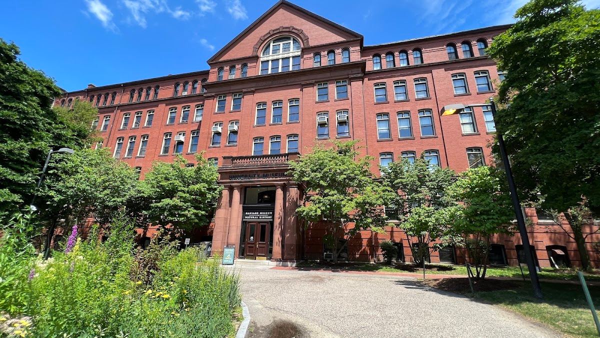 The Harvard Museum of Natural History