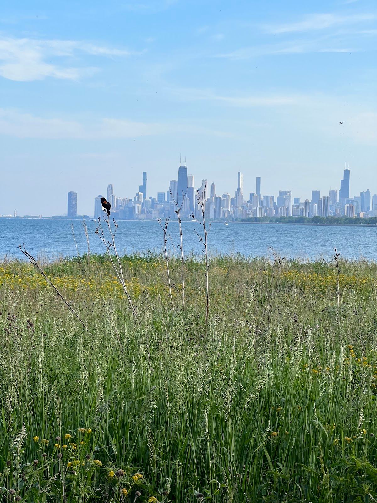Montrose Point Bird Sanctuary