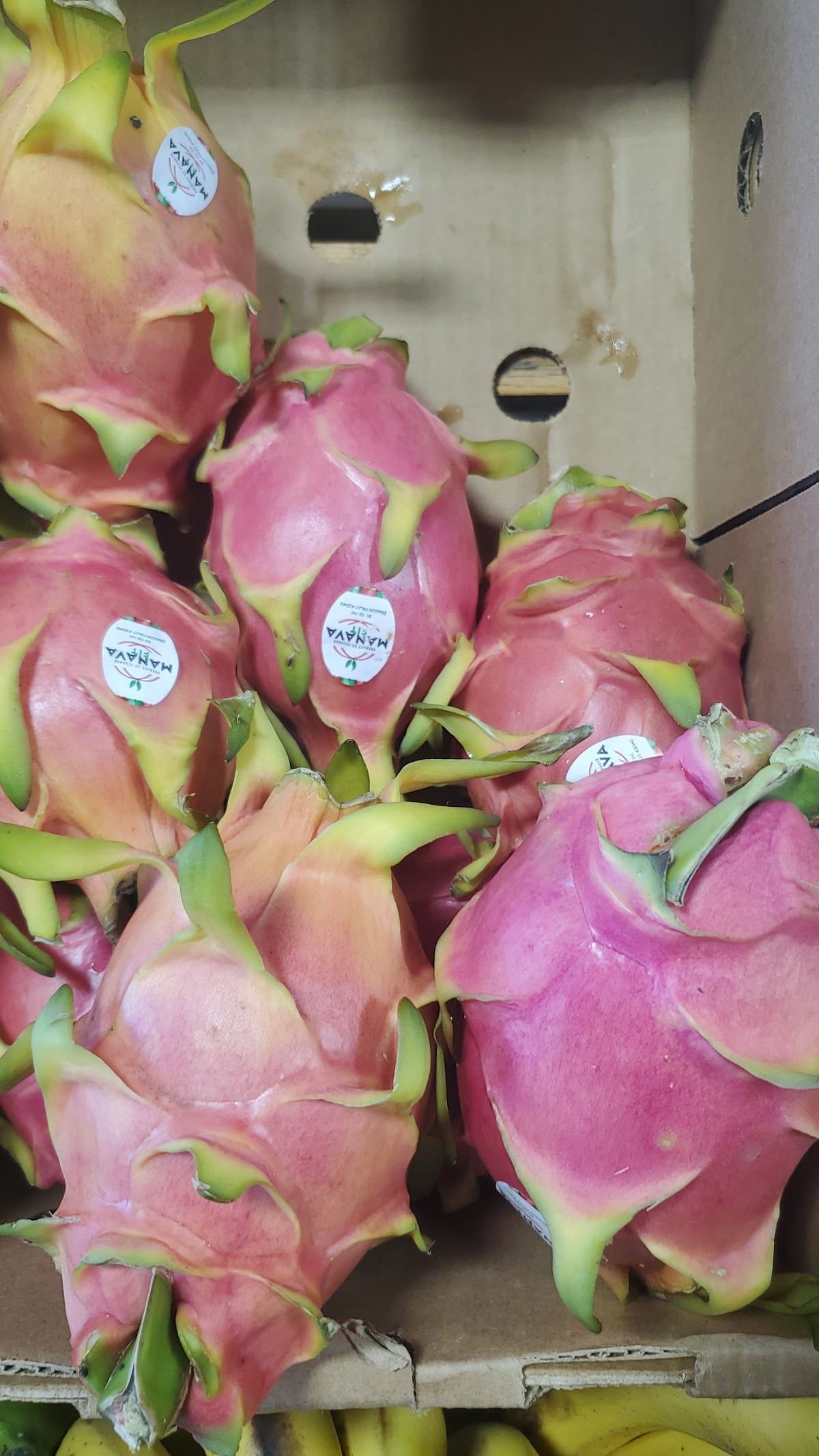 Pearson's produce