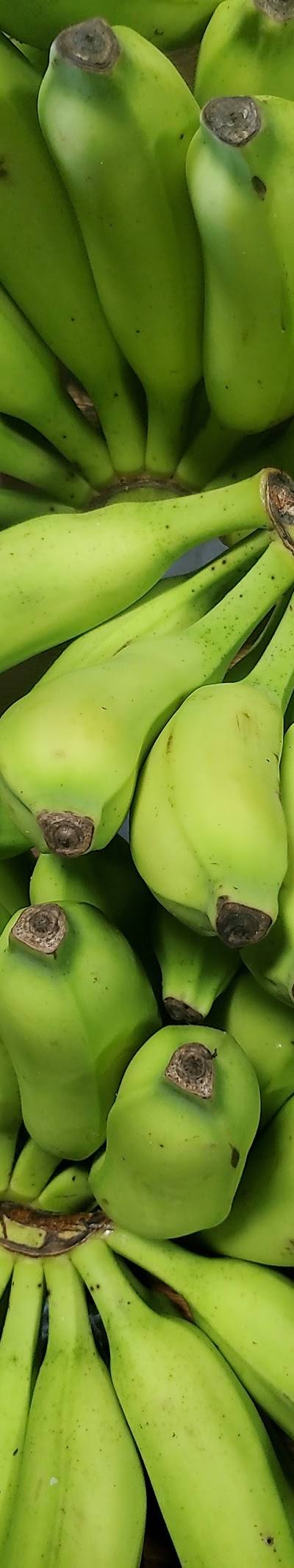 Pearson's produce photo 2