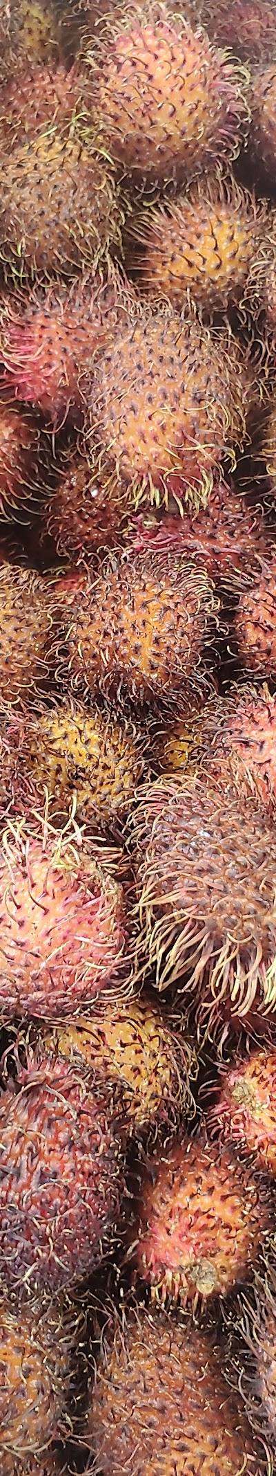 Pearson's produce photo 4