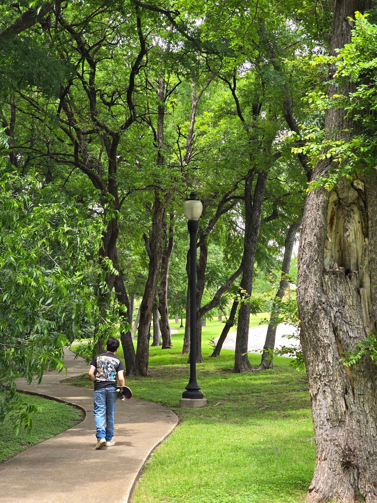 Alta Mesa Park